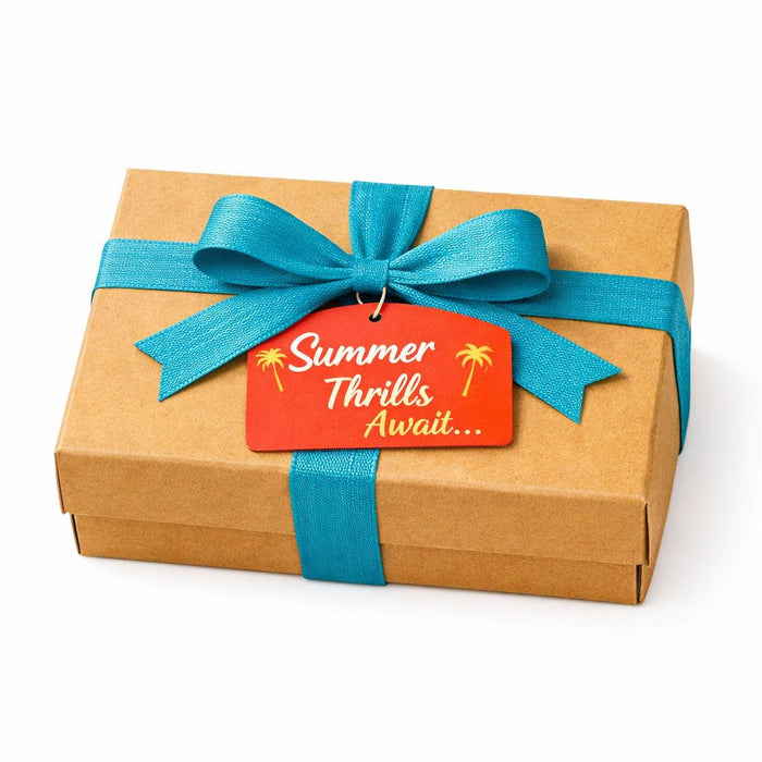 A box filled with various summer-themed items, including a book, a mug, a puzzle, and other beach-related objects, along with a sign that says "Summer Thrills Edition".